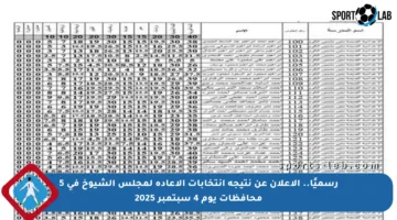 رسميًا.. الإعلان عن نتيجة انتخابات الإعادة لمجلس الشيوخ في 5 محافظات يوم 4 سبتمبر 2025